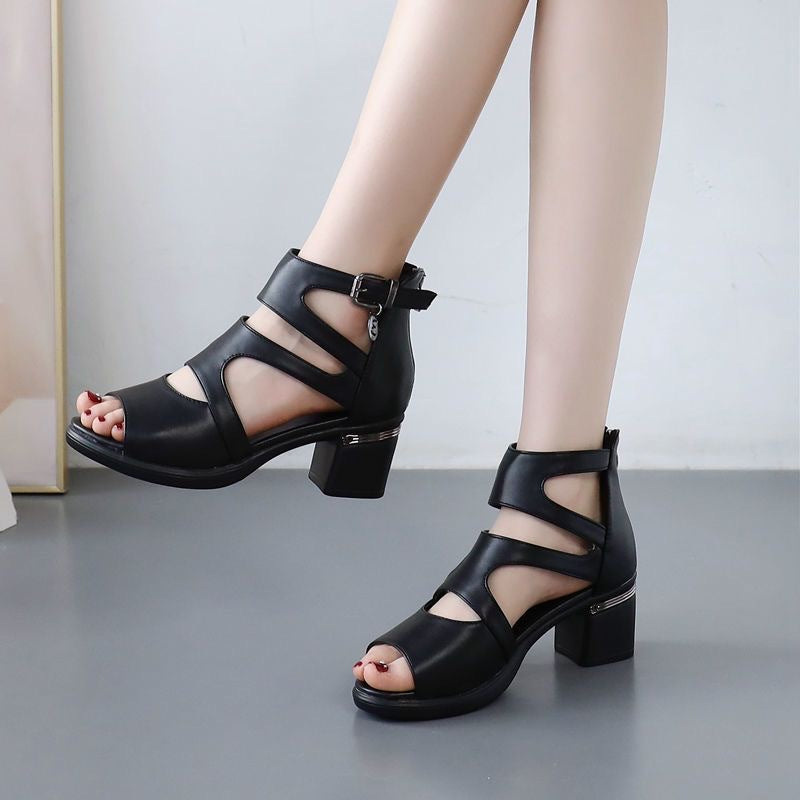 667c203ed2657.jpg